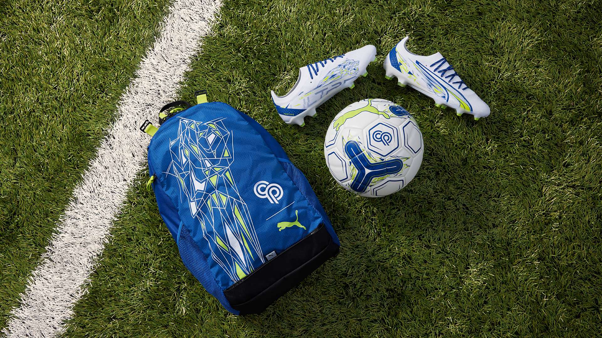 推向新的高 推向新的高